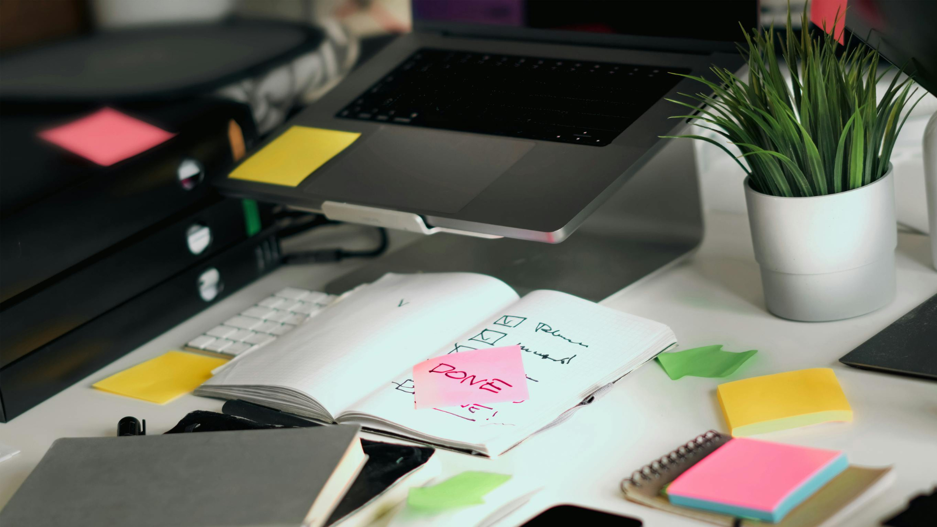 Projekt bez nazwy (72).png